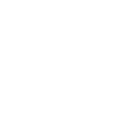 Professional & Friendly Crew